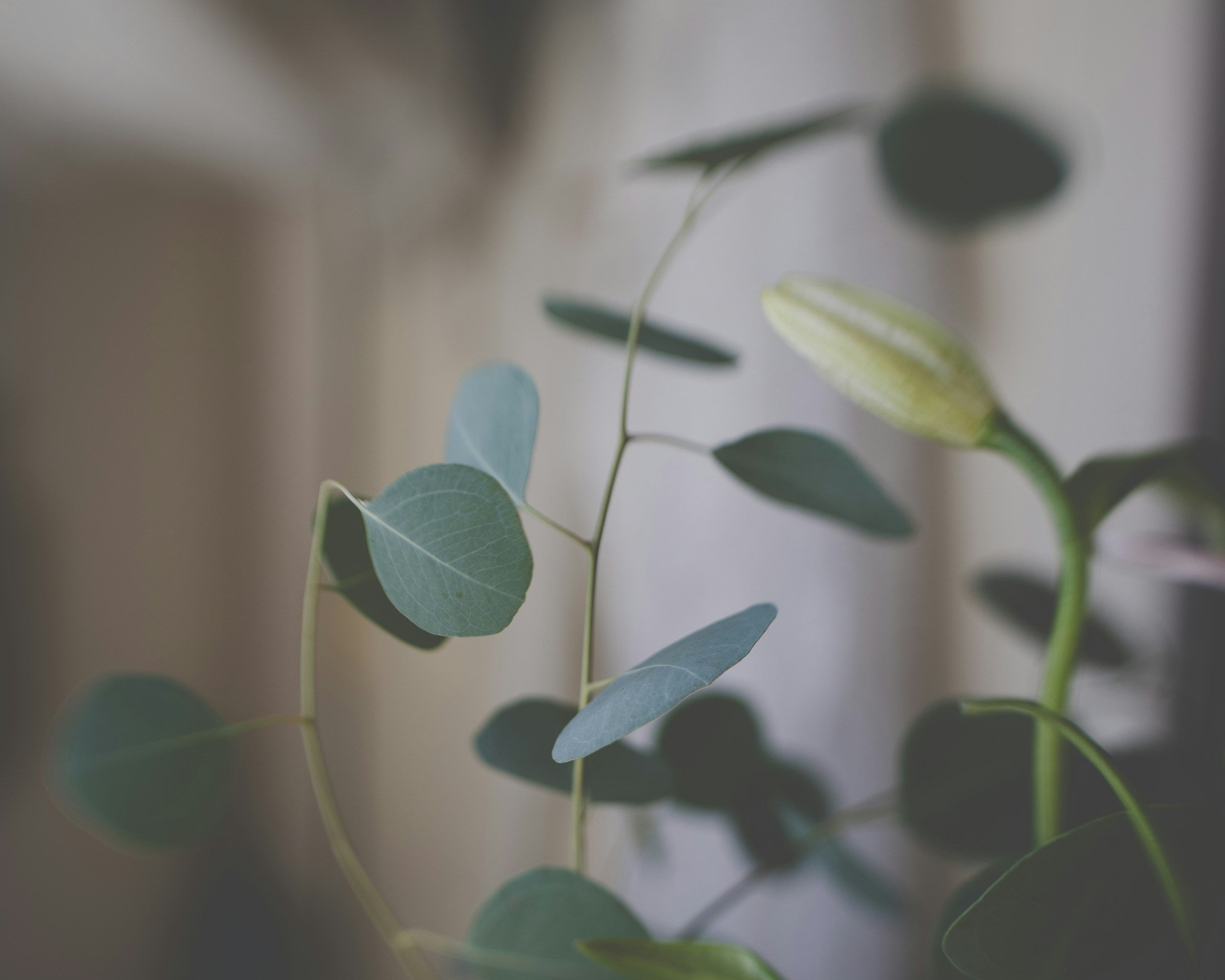 Must-Read Nonfiction Book List_VERGE Lifestyle Magazine Online