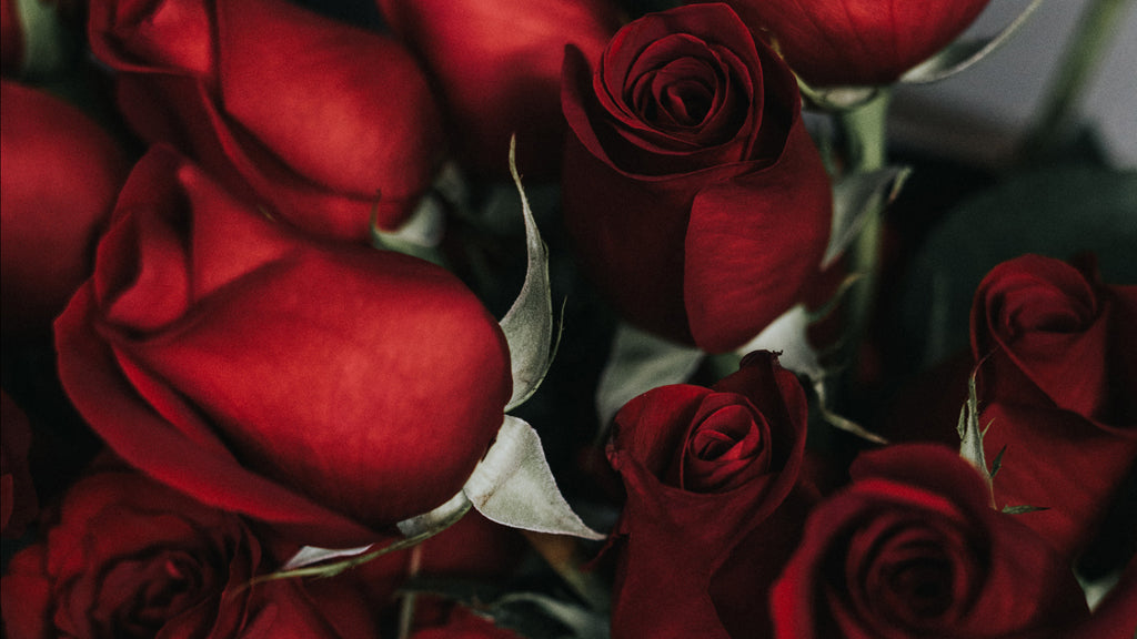 The Best Valentine’s Day Gift Ideas