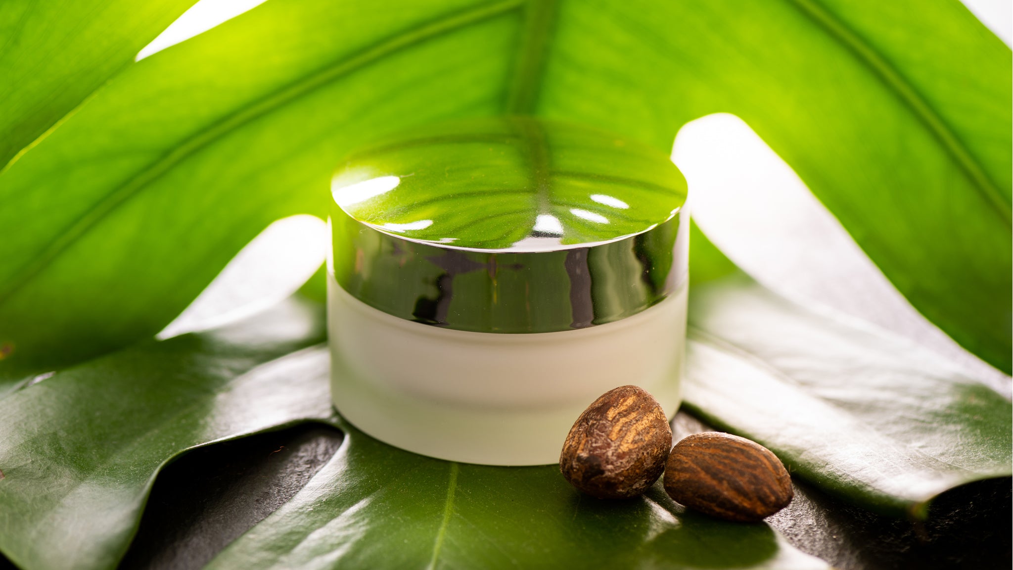 Everything you need to know about shea butter and its amazing beauty benefits for healthier, younger looking skin.