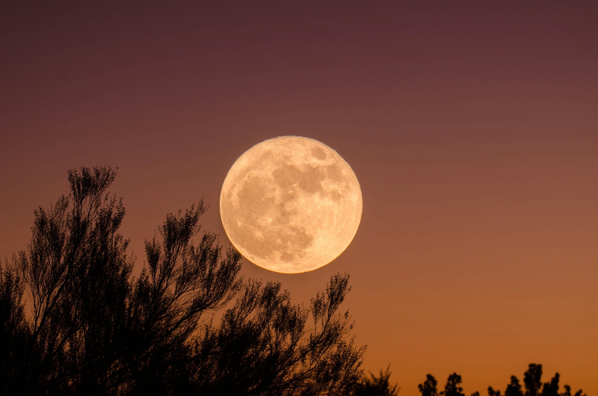 Full Moon Energy Effects on Your Mood, Mental Health and Sleep_Personal Growth_Well-Being